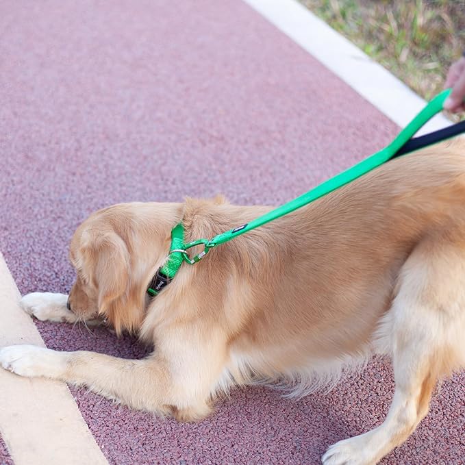 Hyhug Pets 24 Inches Heavy Duty Short Leash with Soft Handle and Lightweight Aviation Aluminium Clip Lead- for Large Medium Dogs Daily Necessities. (24 Inches, Lime Green)