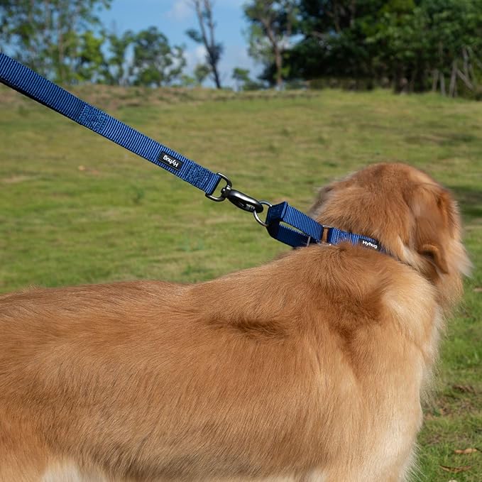 Hyhug Pets Premium Upgraded Durable Nylon 18 Inch Short Leash with Soft Padded Neoprene Lined Handle for Medium Large Giant Dogs, Daily Use and Professional Training. (18 Inches, Classic Blue)