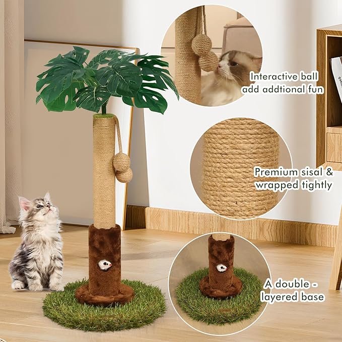Cat Scratching Post for Indoor Cats and Kitten - 35.43" Tall Cat Scratching Post with Sisal Rope,Palm Tree Cat Scratch Post with Hanging Ball (26.4-Brown, 26.4in)