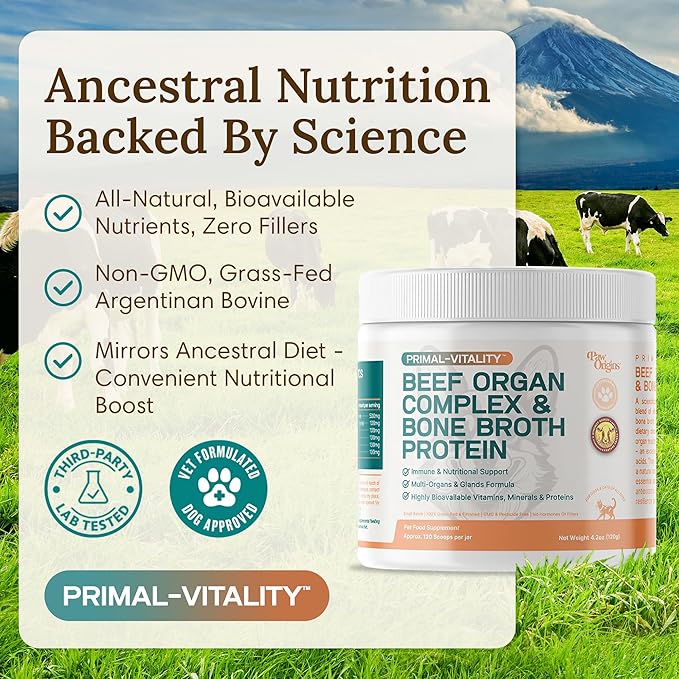 PawOrigins® Primal-Vitality™ Bone Broth Powder for Dogs – Grass-Fed Beef Organ Complex with Liver, Heart, Kidney, Pancreas, Spleen & Bone Broth Protein – Natural Dog Food Topper, 120 Servings