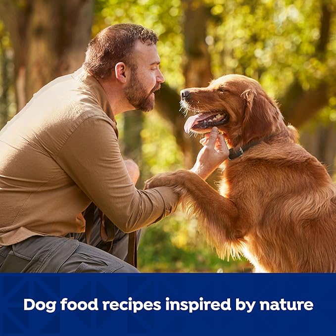 Nature’s Recipe Grain Free Wet Dog Food Beef, Sweet Potato, and Pumpkin Recipe, 13 oz. Can (Pack of 12)