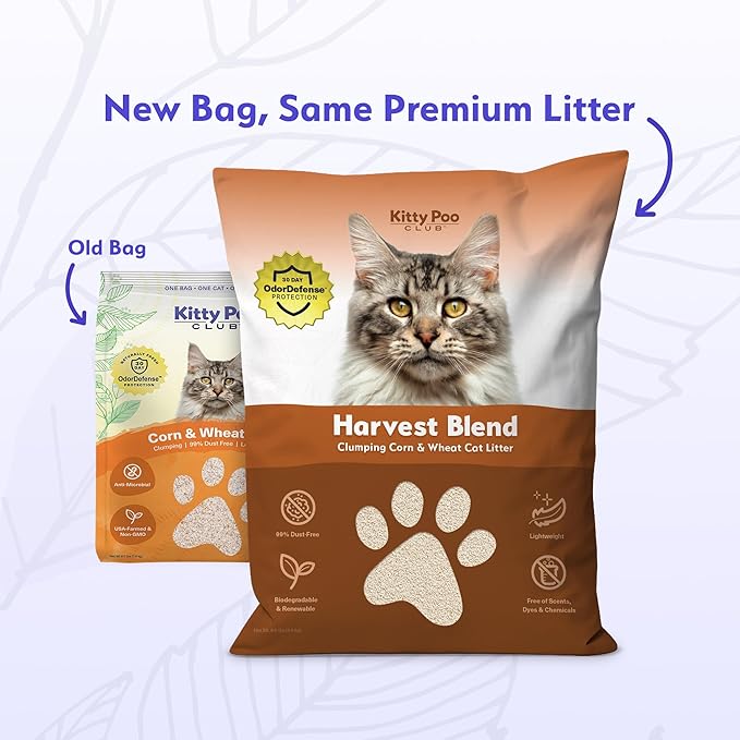 Kitty Poo Club Leakproof Disposable 2-Pack Cat Litter Box with 2 Bags Corn & Wheat Litter | Superior Odor Control & Recyclable Design | Perfect for Travel, Multi-Cat Homes & Daily Use