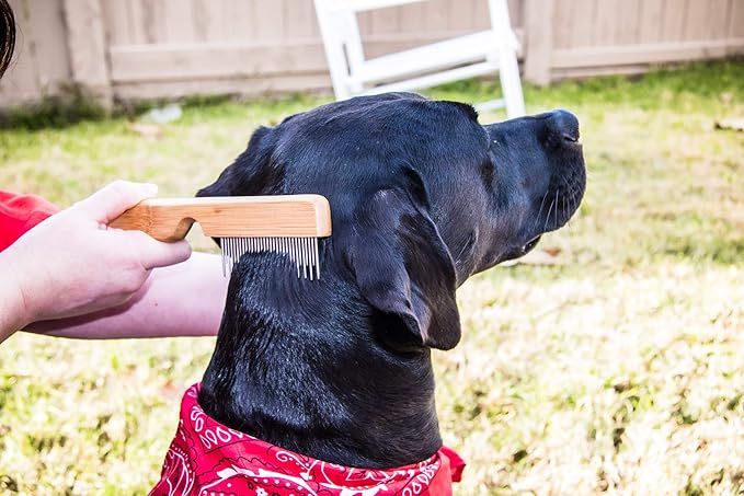 Detangling Pet Comb for Matted Hair and Detangler, with Long & Short Stainless Steel Teeth for Dog and Cat- Natural Easy Grooming Tool