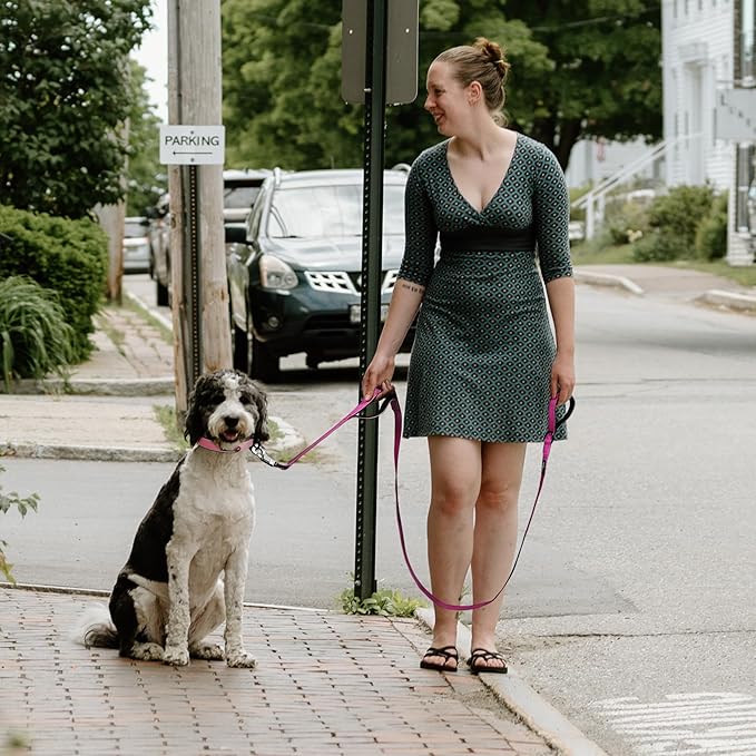 Fida 4 FT Heavy Duty Dog Leash with 2 Comfortable Padded Handles, Traffic Handle & Advanced Easy Snap Hook, Reflective Walking Lead for Large, Medium & Small Breed Dogs, Rose