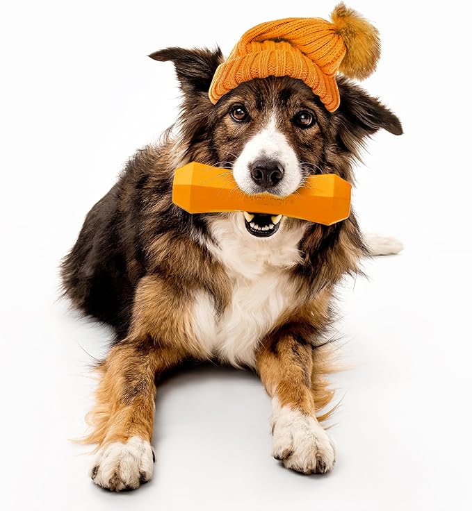 Playology Dog Toys | Durable Squeaky Chew Stick for Dogs | Jumbo Pumpkin Spice Scented Toy - Easy to Clean and Made from Non Toxic Materials