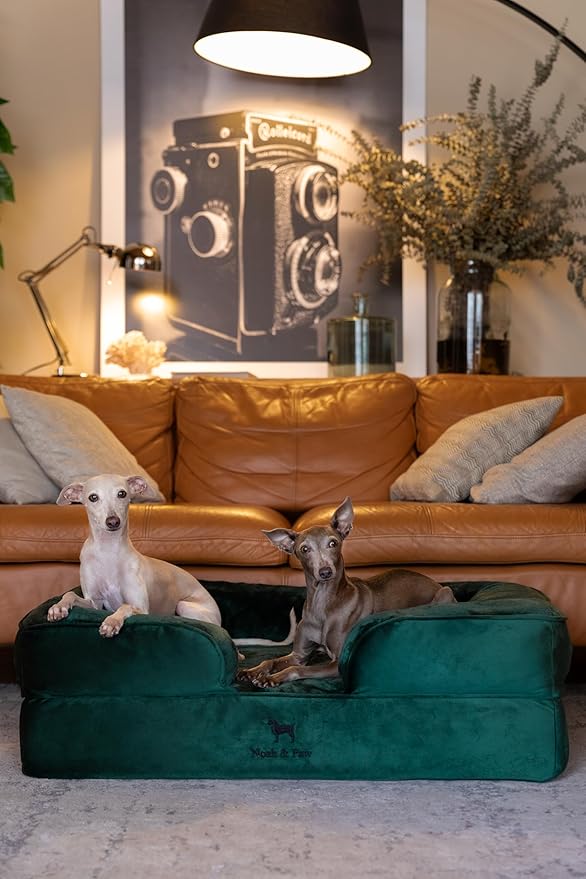 NOAH & PAW Large Dog Bed, 35x25x11 Inch, Orthopedic Dog Beds, Eggshell Memory Foam Infused with Cooling Gel, Inner Cover, Waterproof, Machine Washable (Velvet Sofa Collection)