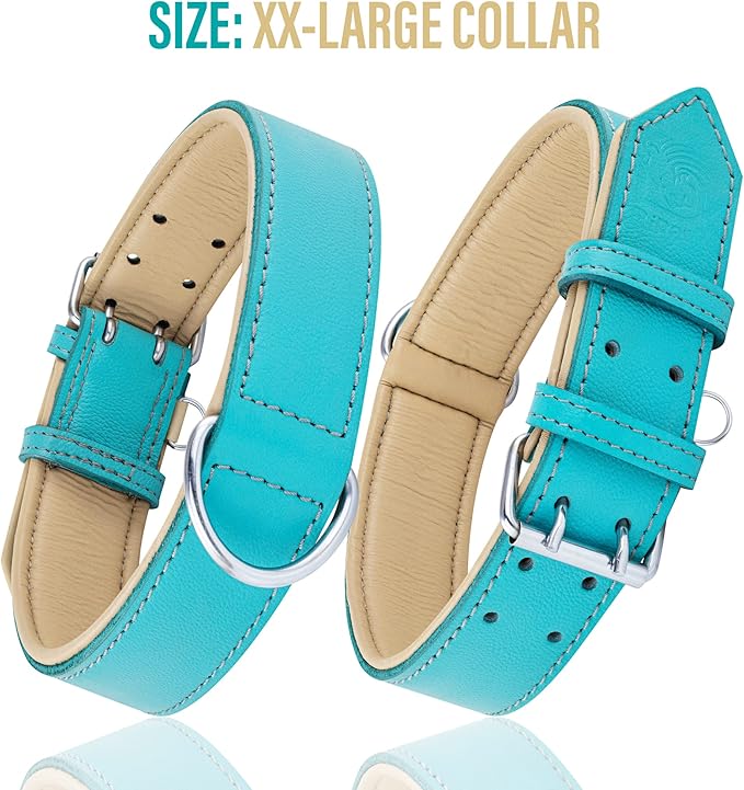 Riparo Adjustable Leather Dog Collar - Heavy Duty Wide Dog Collar for Small, Medium, Large and Extra Large Dogs with Dog Tag Holder (L: 1.5" Wide for 17"-21" Neck, Aqua)