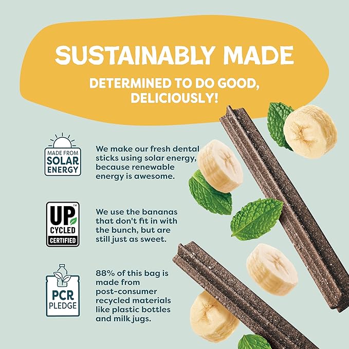 Shameless Pets Bone Broth, Banana, & Mint Dental Chews for Dogs, 32 Chews - Natural Dog Teeth Cleaning Treats with Fresh Breath Benefits | Grain-Free Dental Sticks for Small, Medium & Large Dogs
