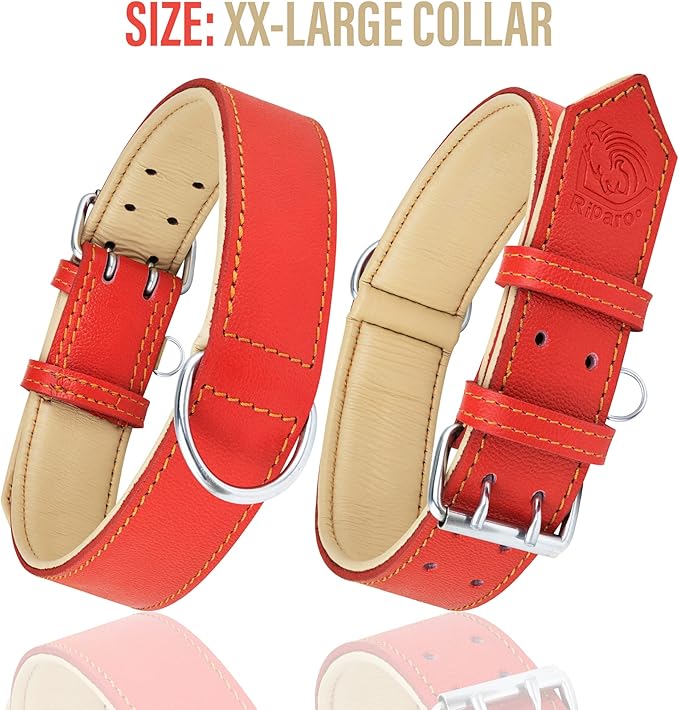 Riparo Red Dog Collar, Dog Collars for Medium Dogs, Leather Dog Collar for Medium Dogs (M: 1" Wide for 13.5”-17.5” Neck, Red)