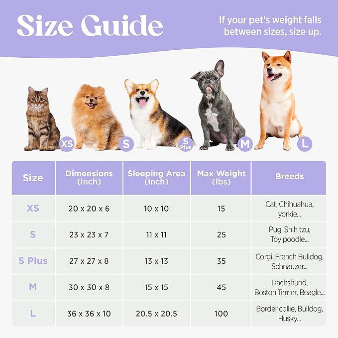 LE SURE Donut Small Dog Bed - Round Cat Beds Indoor Anti-Anxiety Calming Gift for Pets, Cute Modern Beds with Jacquard Shaggy Plush & Anti Slip Bottom, 23 Inch, Purple