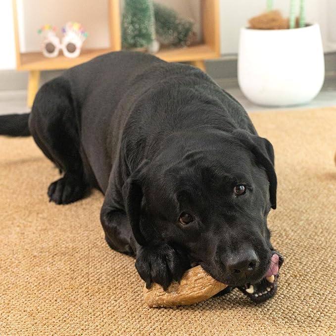 Willjoy 2-Pack Tough Dog Toys for Aggressive Chewers, Pine Wood and Nylon Dog Chew Toys, Aggressive Chew Toys for Large Dogs, Bacon Indestructible Dog Toy, Large Dog Toys to Keep Them Busy