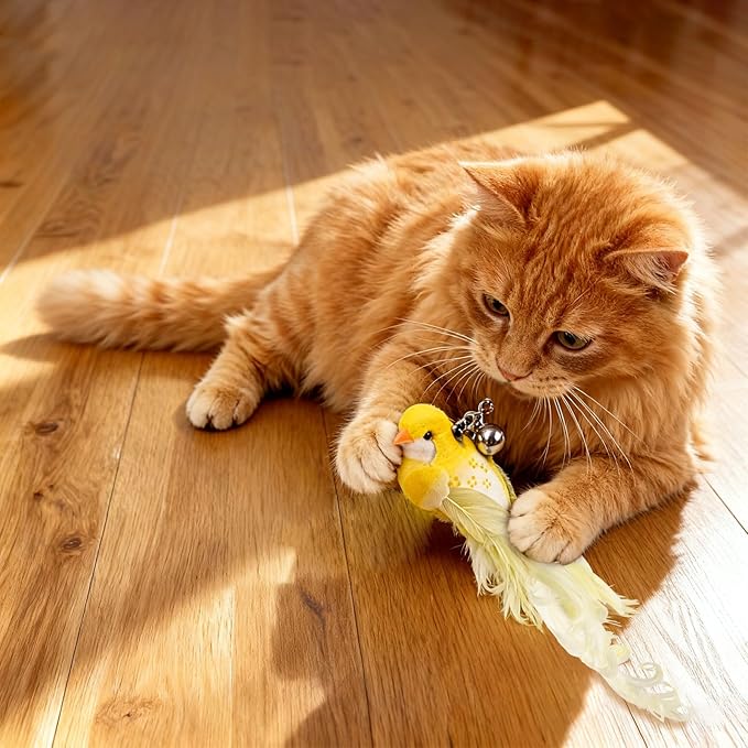 10PCS Cat Bird Toy Refills Feather Cat Wand Attachments with Bell, Interactive Cat Toys for Indoor Cats Kittens, Kitty