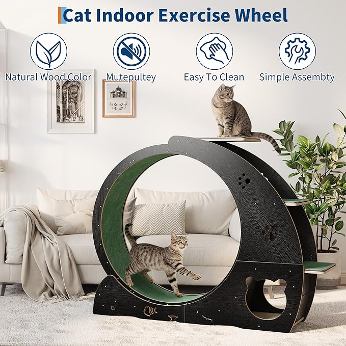 4-in-1 Cat Wheels for Indoor Cats, 40 Inch Large Cat Exercise Wheel, Running Treadmill Wheel with Carpeted Runway, Scratcher