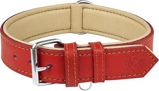 Riparo Red Dog Collar, Dog Collars for Medium Dogs, Leather Dog Collar for Medium Dogs (M: 1" Wide for 13.5”-17.5” Neck, Red)