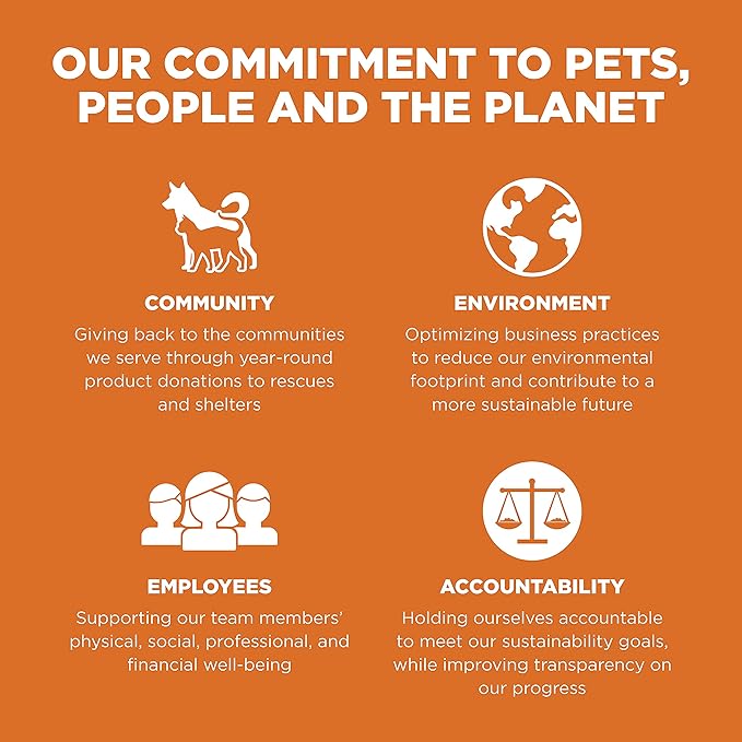 Go! Solutions Skin + Coat Care Salmon Grain-Free Dry Cat Food, Chicken-Free, Healthy Kibble with Omega-3s & 6s for Soft, Shiny Fur, for Kittens, Adults, & Seniors, 16 lb Bag