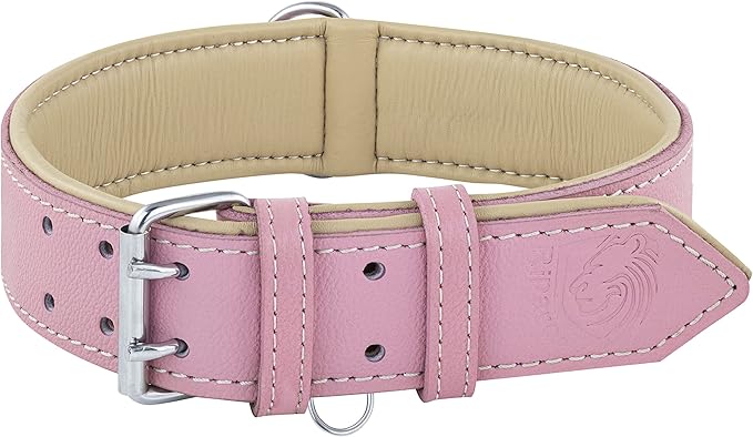 Riparo Pink Dog Collar, Puppy Collar, Leather Dog Collar with Dog Tag Holder, Small Dog Collar for Small Dogs (S: 0.75” Wide for 10”-13.5” Neck, Pink)
