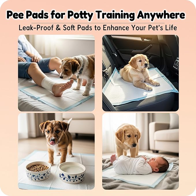 MoMoCo Puppy Pads, 23"x23"-100 Count Dog Pee Pads, Super Absorbent Disposable Dogs Training Pads , Leak-Proof, Quick-Drying Dogs Potty Pads for Doggies Puppies