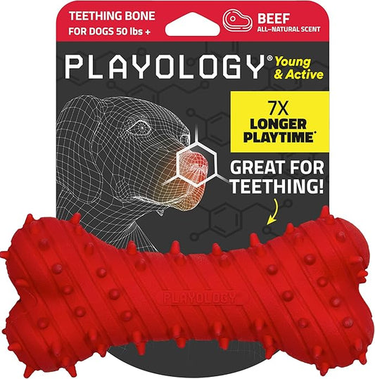 Playology Dog Toys | Puppy Toy Teething Bone Designed for Young & Active Dogs | Jumbo Beef Scented Toy Made from Non Toxic Materials