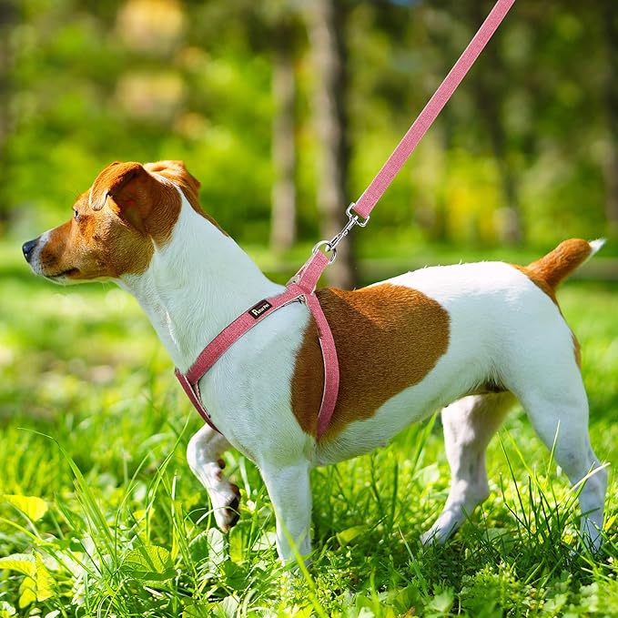 Plutus Pet Cotton Hemp Step in Dog Harness, Sustainable, Lightweight and Escape-Proof, Quick Fit Dog Harness for Puppy Small Medium and Large Dogs, Hot Pink, S