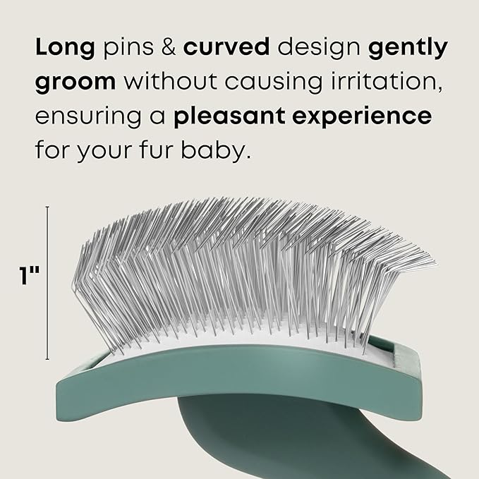 Freshly Bailey Doodle Brush for Goldendoodle, Poodle, and Labradoodle Coats - Best Slicker for Dogs With Wavy & Curly Hair - Detangle & Fluff Like a Pro - Grooming Must Haves (Large)