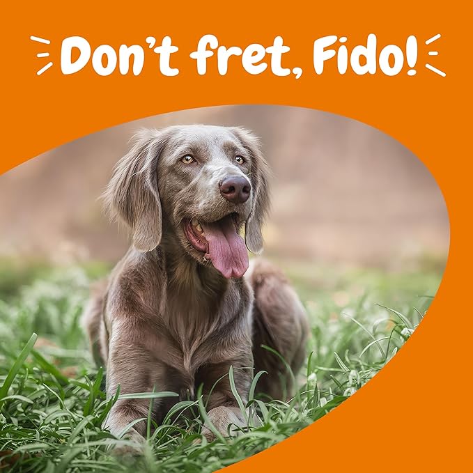 Zesty Paws Hemp Calming Chews for Dogs - Dog Hemp Calming Chews with Melatonin for Dogs for Stress, Travel, Check Ups, Thunderstorms, Separation Anxiety and More - Turkey - 90 Count