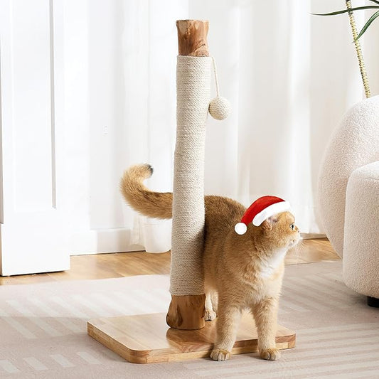 29" Tall Cat Scratching Post for Indoor Cats Adults, Extra-Stable & Natural Solid Wood Scratching Post Sisal Scratcher with Hanging Funny Ball, White