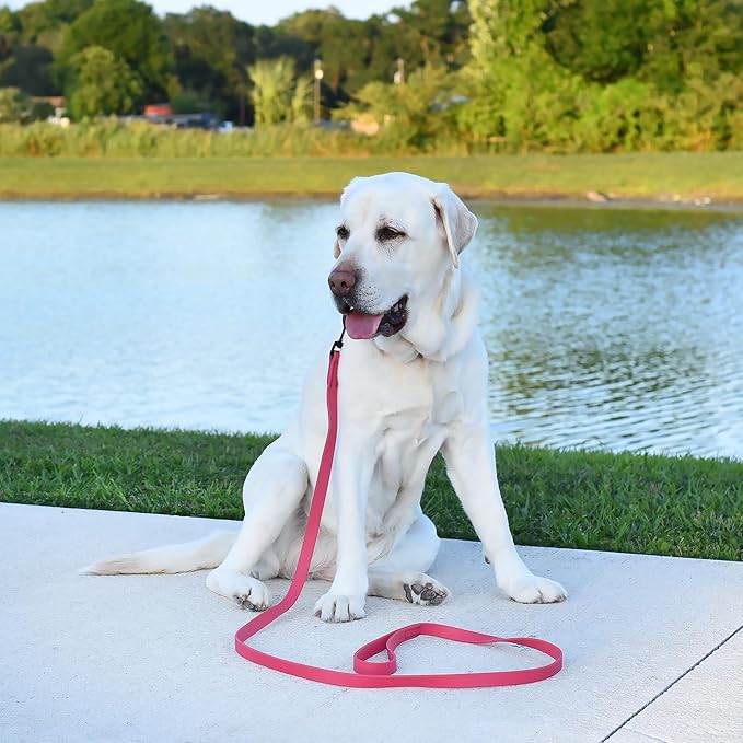 Dogline Biothane Waterproof Dog Leash Strong Coated Nylon Webbing with Black Hardware Odor-Proof Easy to Clean High Performance for Small or Large Dogs Made in USA 4 or 6 ft Lead, Passionfruit Pink