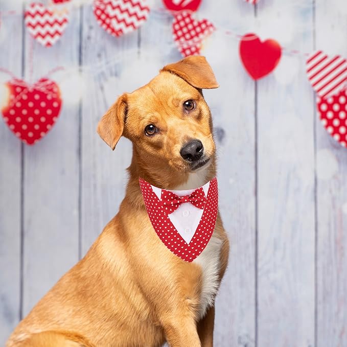 ADOGGYGO Valentine Dog Tuxedo Bandana, Red Heart Pet Tux with Bowtie Adjustable Valentine Costume for Medium Dogs Pets (M)