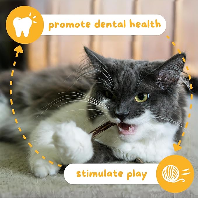 Hide & Scratch Premium Silvervine Sticks for Cats with Gall Fruit Powder for Extra Potency; Cat Enrichment Cat Chew Toy and Dental Sticks - More Effective Than Catnip Toys! (12 ct)