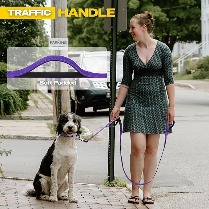 Fida 6 FT Heavy Duty Dog Leash with 2 Comfortable Padded Handles, Traffic Handle & Advanced Easy Snap Hook, Reflective Walking Lead for Large, Medium & Small Breed Dogs, Purple