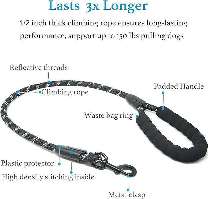 iYoShop Dual Dog Leash - 360° Swivel, No Tangle Walking Leash with Shock Absorbing Bungee for Two Dogs (Large, 25-150 lbs, Black)