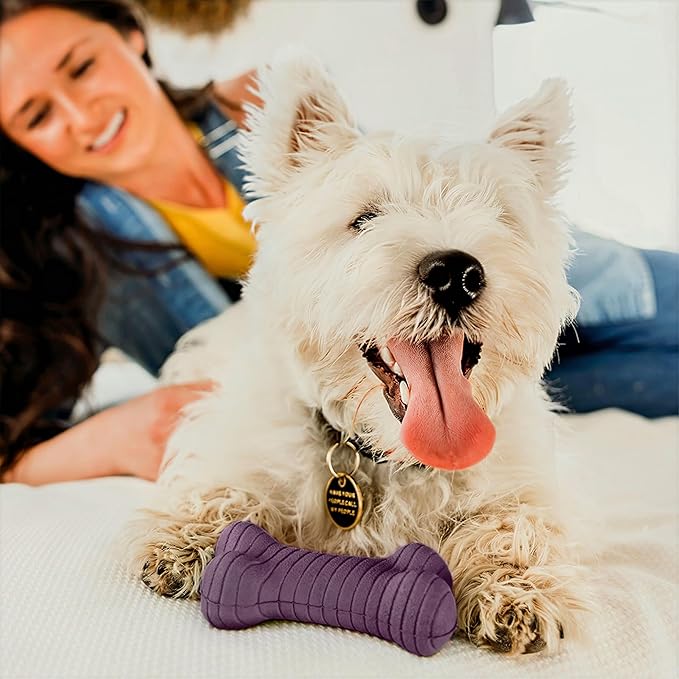 Playology Dog Toys | Dual Layer Bone Durable Chew Toy Bone for Dogs | Medium Bacon Scented Toy - Easy to Clean and Made from Non Toxic Materials