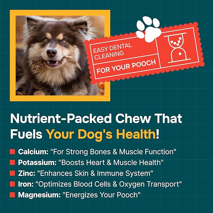 100% Natural - Antlers For Dogs - Elk Antlers for Very Large Dogs - Naturally Shed in USA - Grade A Dog Antler Chews - Dog Chews - Natural, Long-Lasting Treats for Aggressive Chewers - Extra Large