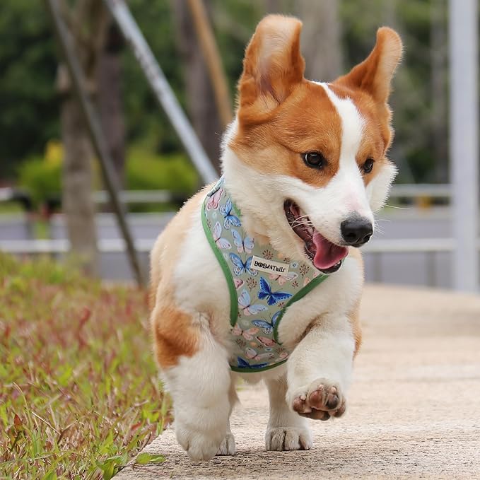 Butterfly Printed Dog Harness with D-Ring Leash Clip Set,Adjustable Soft Padded and Cotton Fabric Pet Vest for Medium and Small Dogs (Green, Extra Small)