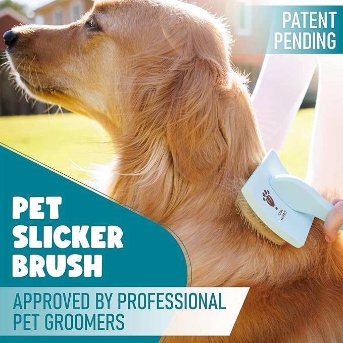 Pet Slicker Brush With Soft Massage Grooming Stainless Steel Pins - For Dematting, Shedding Fur, and Undercoat - Ideal Gift for Professional Pet Groomers - Long Slicker Brush (Blue, Curved Medium)