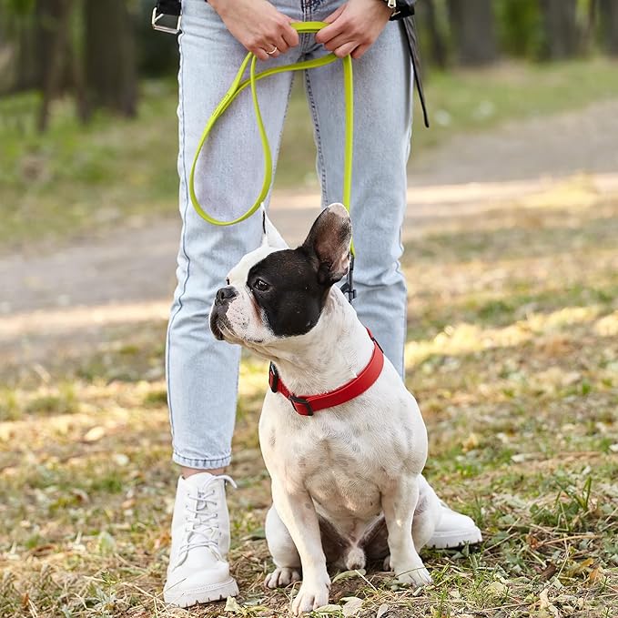 Dogline Biothane Waterproof Dog Leash Strong Coated Nylon Webbing with Black Hardware Odor-Proof Easy to Clean High Performance for Small or Large Dogs Made in USA 4 or 6 ft Lead, Safety Yellow