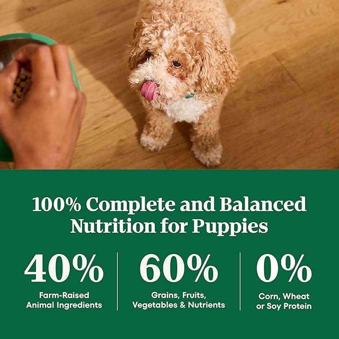 Nutro Natural Choice Large Breed Puppy Food Dry, Lamb & Brown Rice Recipe, 30 lb. Bag