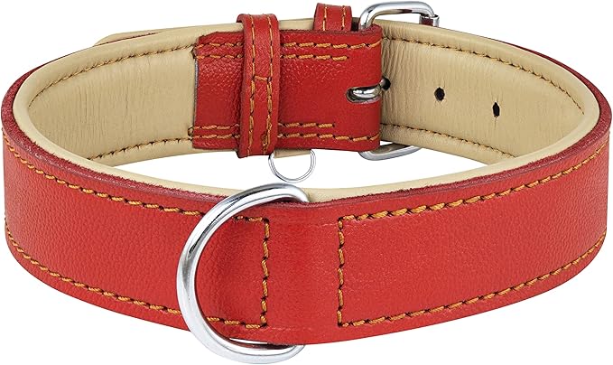 Riparo Red Dog Collar, Dog Collars for Medium Dogs, Leather Dog Collar for Medium Dogs (M: 1" Wide for 13.5”-17.5” Neck, Red)