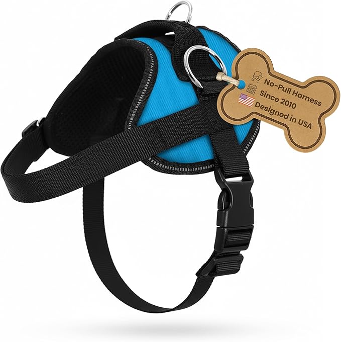 Bark Appeal Aqua Blue No-Pull Dog Harness for Extra Large Sized Pets – Adjustable, Reflective Vest with 3 Leash Clips for Added Control, Easy Walks & Training – XXL