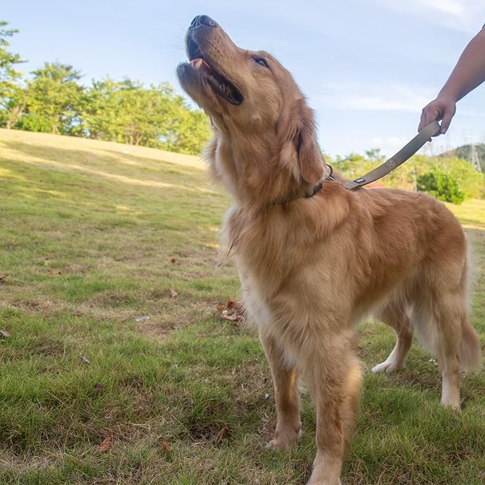 Hyhug Short Dog Leash Heavy Duty Nylon with Comfortable Padded Handle, Durable Training Pet Leashes for Small Medium Large Dogs (18 Inches, Military Green)