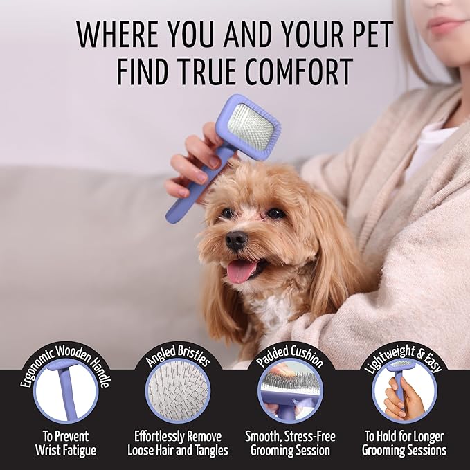 Tauro Pro Line Slicker Brush for Dogs Grooming - Goldendoodle, Poodle & Pomeranian Small Dogs or Cat - Pet Brush for Shedding, Mats or Tangles - Flexible Cushion & Non-Slip Grip (Size S - Purple)