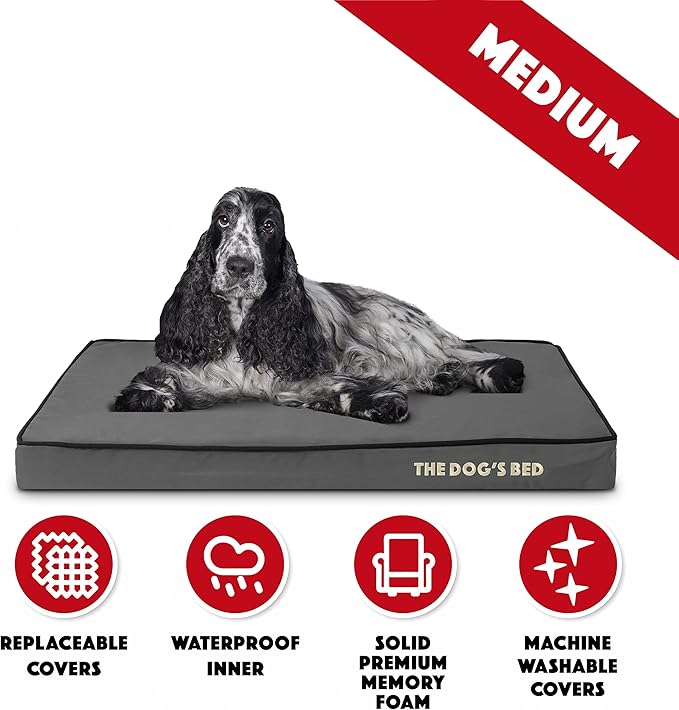 The Dog’s Bed Orthopedic Memory Foam Dog Bed, Medium Grey & Black, Waterproof, Supportive Dog Bed with Replaceable Covers, Veterinary Approved
