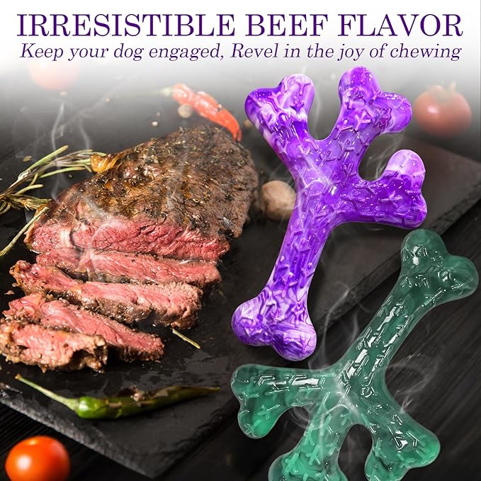 Dog Chew Toys for Aggressive Chewers: Dog Chew Toys 4 Pack Beef Flavored Indestructible Toy for 20-70 lbs Medium and Large Dogs, Tough Nylon Chew Bone & Easy to Clean, Keeps Dogs Busy