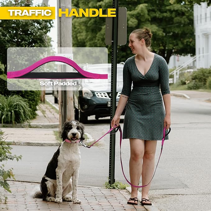Fida 10ft Heavy Duty Dog Leash with 2 Comfortable Padded Handles, Traffic Handle & Advanced Easy Snap Hook, Reflective Walking Lead for Large, Medium & Small Breed Dogs, Rose