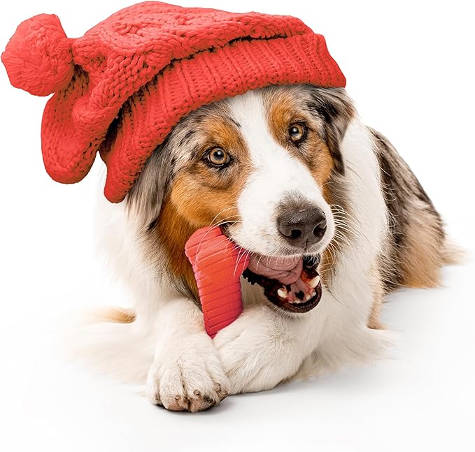 Playology Dog Toys | Dual Layer Bone Durable Chew Toy Bone for Dogs | Jumbo Grandma's Gravy Scented Toy - Easy to Clean and Made from Non Toxic Materials