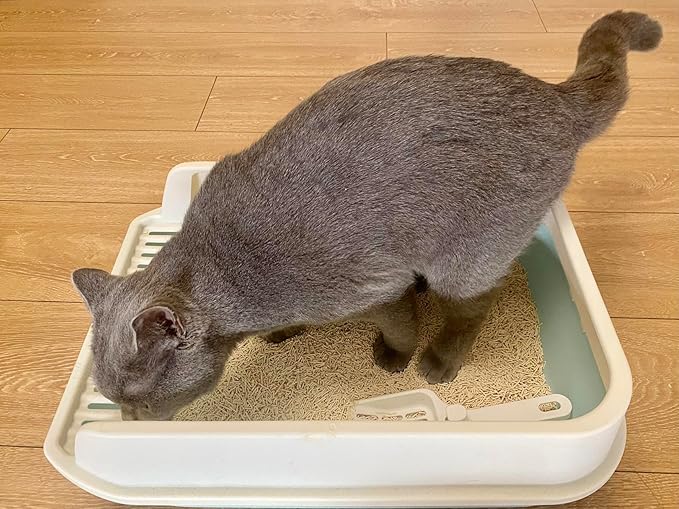 Tofu Cat Litter16.8LB(5.6LB*3bags) Fast Clumping, Dust-Free,100% Food Grade Raw Materials, Clumping,Flushable,Ultra Absorbent and Fast Drying,Solubility in Water,Really,Less Scattering