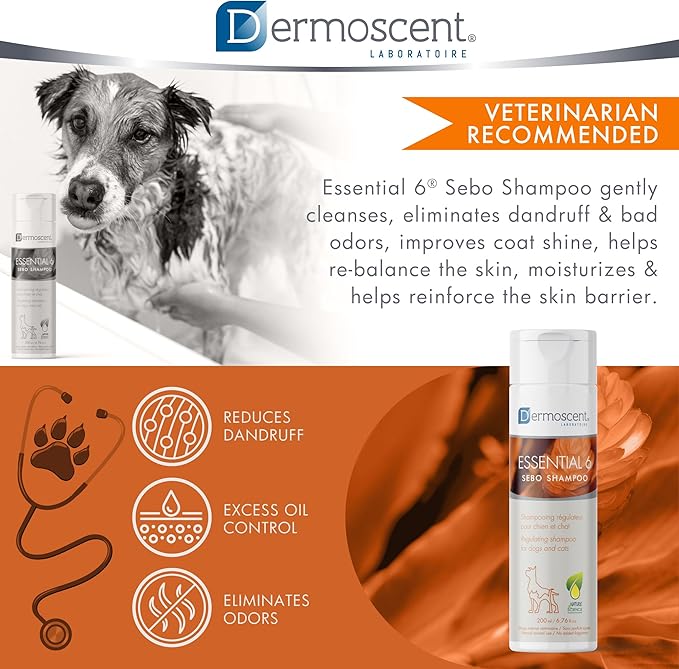 Essential 6 Sebo Shampoo for Dogs, Cats & Pets | 100% Natural, Soap-Free Formula, Reduces Odours, Controls Dandruff, and Enhances Coat Shine, Gentle on Oily Skin