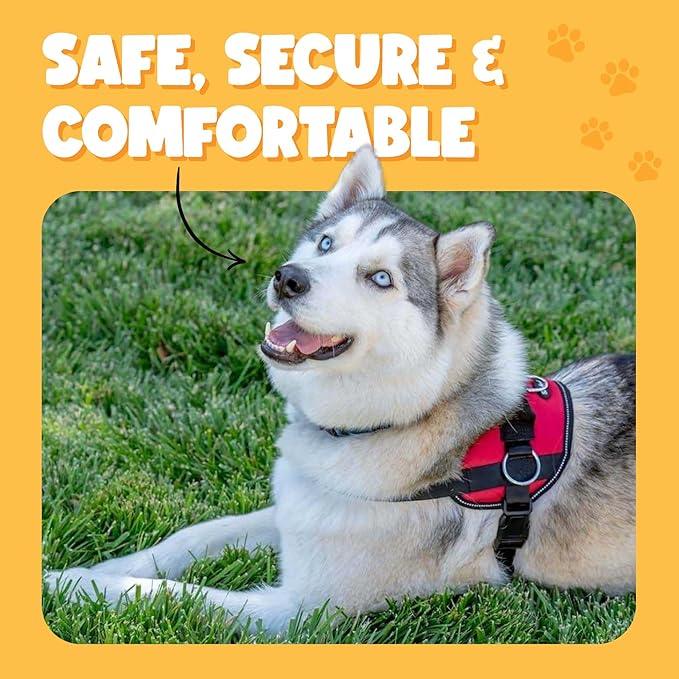 Bark Appeal Blue Hibiscus No-Pull Dog Harness for Medium to Large Sized Pets – Adjustable, Reflective Vest with 3 Leash Clips for Added Control, Easy Walks & Training – Large