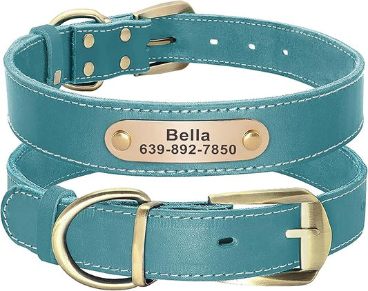 Didog Genuine Leather Dog Collars with Engraved Nameplate, Personalized Soft Leather Dog Collar with Custom ID Tag, Brown/Green/Red for Small Dogs (M,Blue)