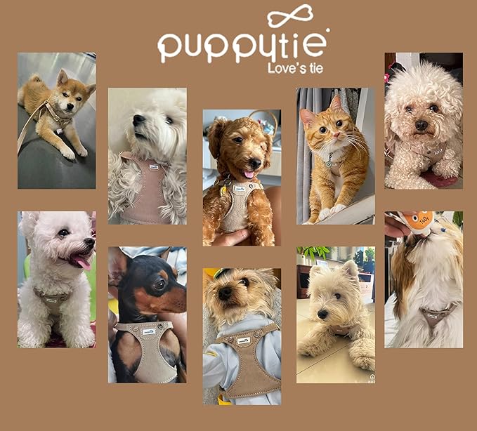 Puppytie No Pull xs Dog Harness with Multifunction Dog Leash,Soft Adjustable No Choke Escape Proof Pet Harness Vest,Denim Mocha Brown,XS